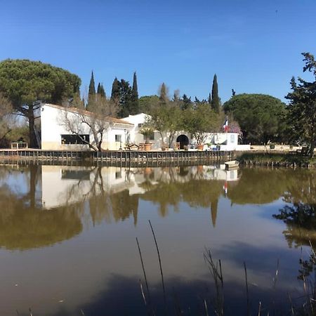 Willa Mas De La Pie Saintes-Maries-de-la-Mer Zewnętrze zdjęcie