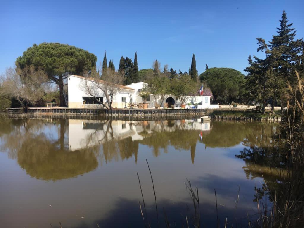 Willa Mas De La Pie Saintes-Maries-de-la-Mer Zewnętrze zdjęcie